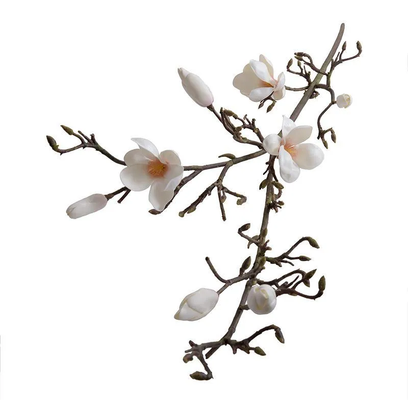 Magnolia Tree Branch, 60" L