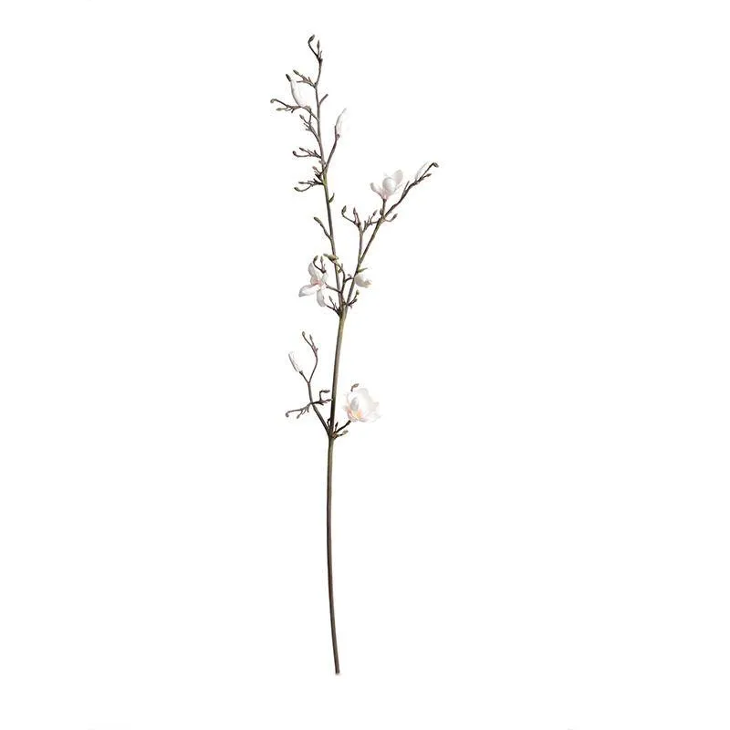 Magnolia Tree Branch, 60" L